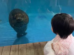 -左海海底世界