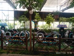 -南宫五洲植物乐园