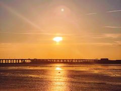 -宝安西湾红树林湿地公园