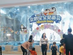 -帝企鹅自助餐厅•儿童岛•真企鹅(长隆企鹅酒店)