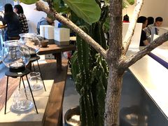 -喜茶(东莞汇一城店)