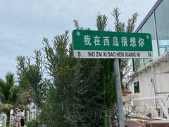 -三亚西岛海洋文化旅游区
