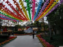 -成飞公园