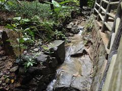 -火炉山森林公园