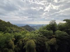 -莫干山风景区