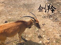 -宁波野生动物园