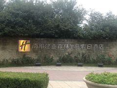 -南阳建业森林半岛假日酒店
