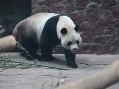 -黔灵山公园