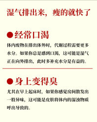 -Fundi张玉珊修身堂·indiba·BTL科技瘦身