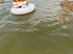 -碧海金沙