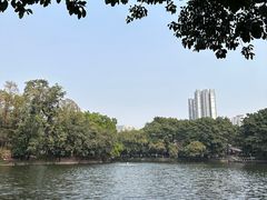 -荔湾湖公园
