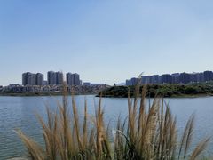 -立新湖公园
