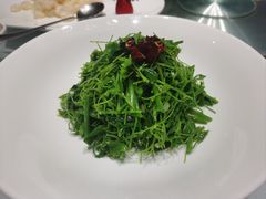 -沪碟·精菜坊(闵行店)