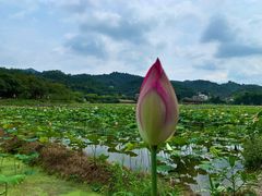 -红山村