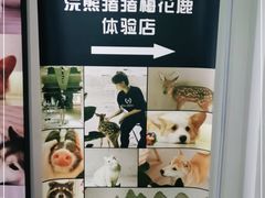 -浣熊柯尔鸭土拨鼠·电玩咖