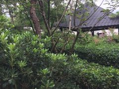 -威海天沐度假区温泉