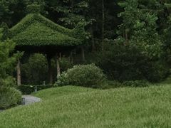 -云溪植物园
