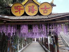 -呀路古热带植物园