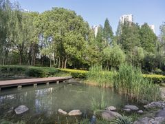 -苏州河梦清园环保主题公园