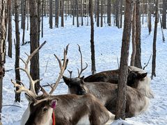 -北极村旅游风景区