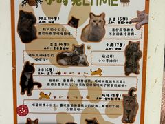 -小时光咖啡馆(北锣鼓巷店)