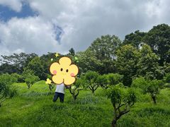 -广州市石门国家森林公园