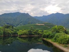 -龙坞茶村