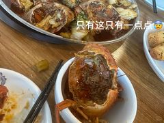 -瑞丽活螃蟹(芒市店)