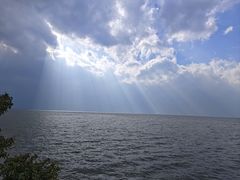 -洱海月湿地公园