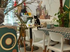 -小时光咖啡馆(北锣鼓巷店)