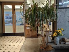 -在咖啡INCOFFEE(ICC升龙环球中心店)