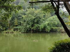 -桂林古东瀑布景区