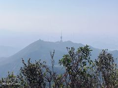 -梧桐山风景名胜区