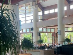 -亚龙湾喜来登·美景台大堂吧