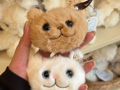 -深圳湾万象城(南山店)