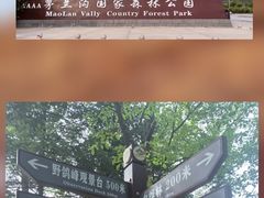 -茅兰沟国家森林公园