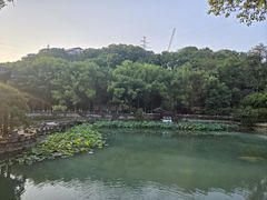 -忠山公园