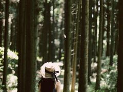 -山王坪喀斯特国家生态公园