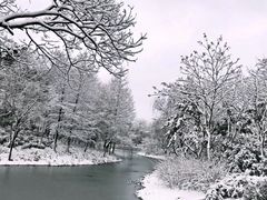 -杭州城北体育公园