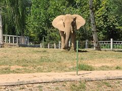 -石家庄市动物园