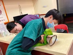 -艾贝尔宠物诊疗