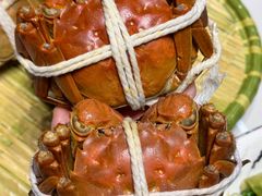 -蟹天蟹地农家菜·阳澄湖大闸蟹(浅水湾店)