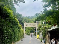 -十八棵（老龙井）御茶园(老龙井店)