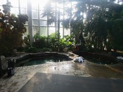 -中家鑫园温泉酒店鑫悦汤泉