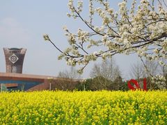 -国际非物质文化遗产博览园