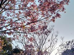 -凤凰沟景区