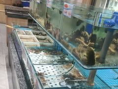 -渔码头食府·20年蓬莱老字号(登州路店)