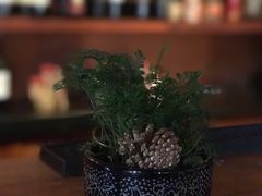 -红墙花园酒店