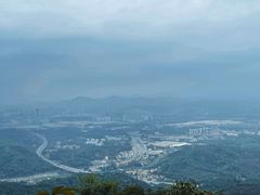 -黄埔油麻山森林公园