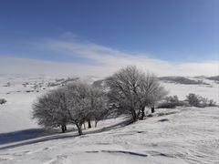 -塞罕坝国家级自然保护区